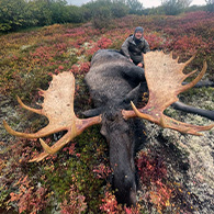 Renfro's Alaskan Adventures